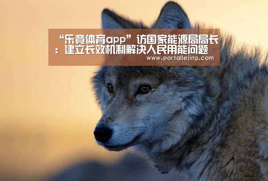“乐竟体育app”访国家能源局局长:建立长效机制解决人民用能问题(图1) 乐竟体育赛事