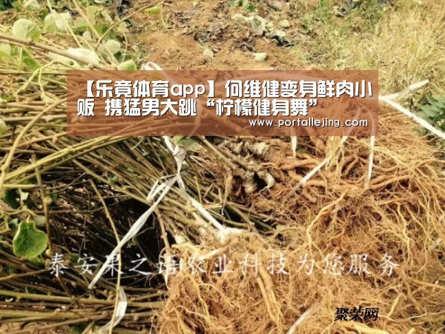 乐竟体育app