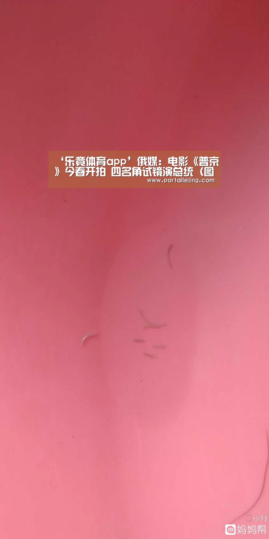 ‘乐竟体育app’俄媒:电影《普京》今春开拍 四名角试镜演总统(图)(图2) 乐竟体育平台