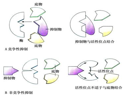 乍暖还寒时双焦市场如何演绎?_乐竟体育平台(图1) 乐竟体育赛事