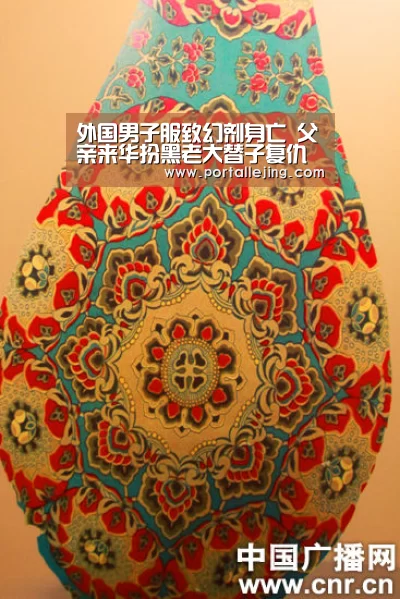 外国男子服致幻剂身亡 父亲来华扮黑老大替子复仇（图）-乐竟体