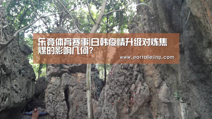 乐竟体育赛事|日韩疫情升级对炼焦煤的影响几何?(图2) 乐竟体育app
