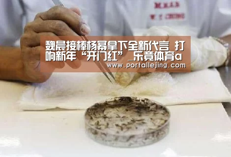 魏晨接棒杨幂拿下全新代言 打响新年“开门红”_乐竟体育app(图1) 乐竟体育app