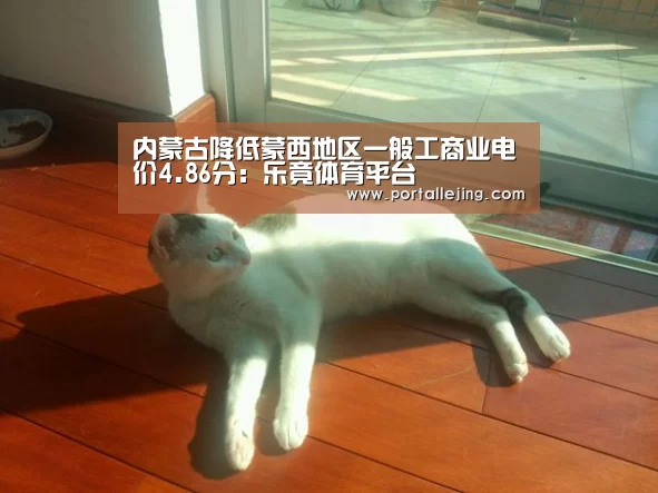 内蒙古降低蒙西地区一般工商业电价4.86分:乐竟体育平台(图1) 乐竟体育官网