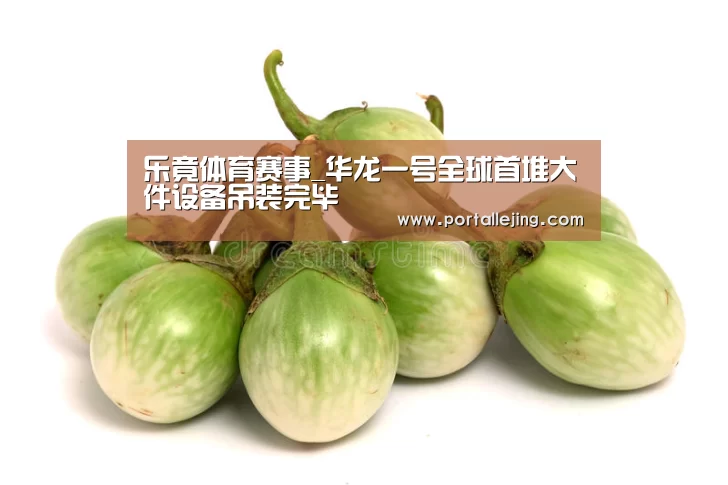 乐竟体育赛事_华龙一号全球首堆大件设备吊装完毕(图1) 乐竟体育平台