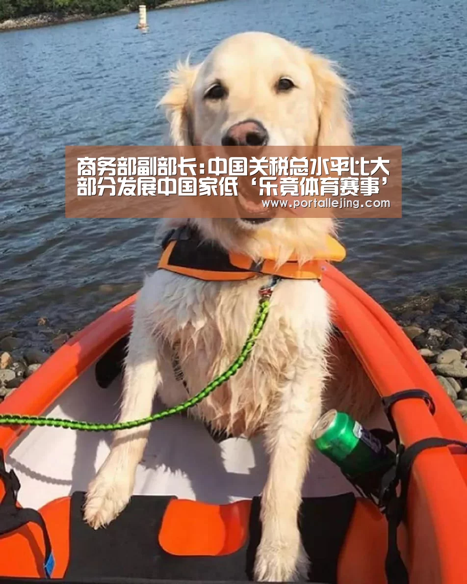 商务部副部长:中国关税总水平比大部分发展中国家低‘乐竟体育赛事’(图3) 乐竟体育官网