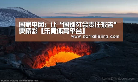 国家电网:让“国别社会责任报告”更精彩【乐竟体育平台】(图2) 乐竟体育app