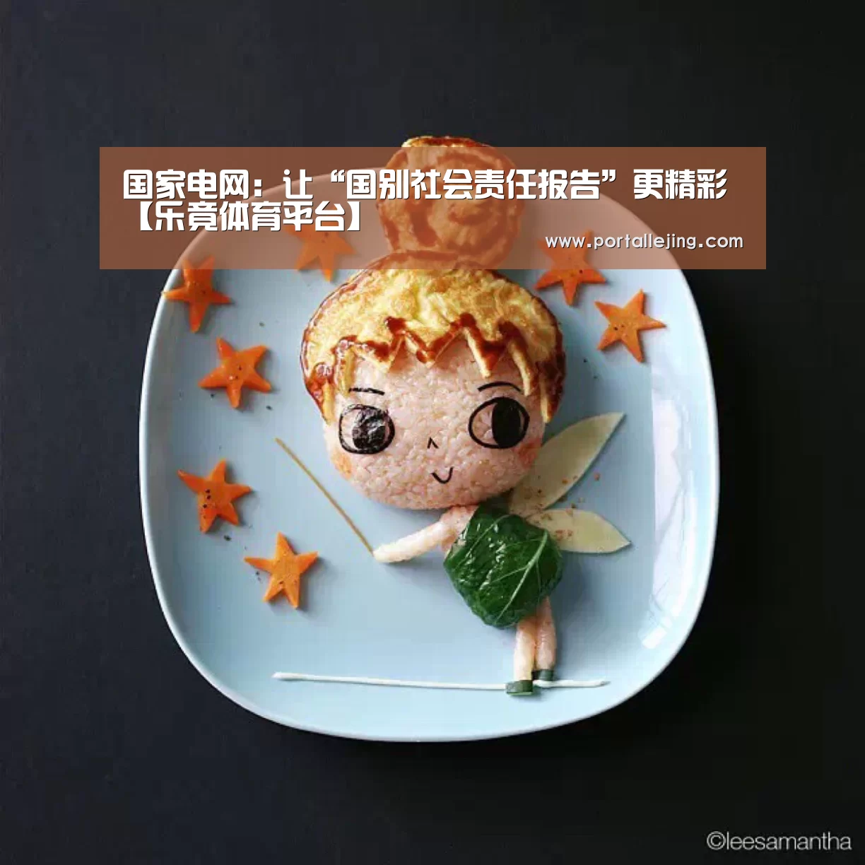 国家电网:让“国别社会责任报告”更精彩【乐竟体育平台】(图1) 乐竟体育赛事