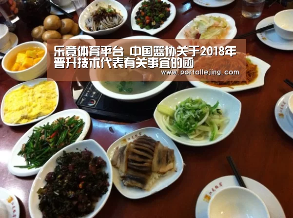 乐竟体育平台_中国篮协关于2018年晋升技术代表有关事宜的函(图2) 乐竟体育app