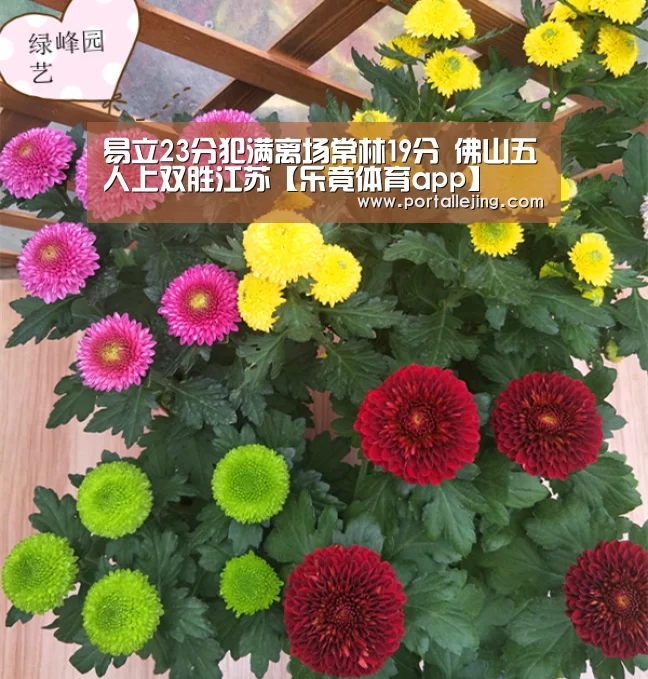 易立23分犯满离场常林19分 佛山五人上双胜江苏【乐竟体育app】(图2) 乐竟体育官网