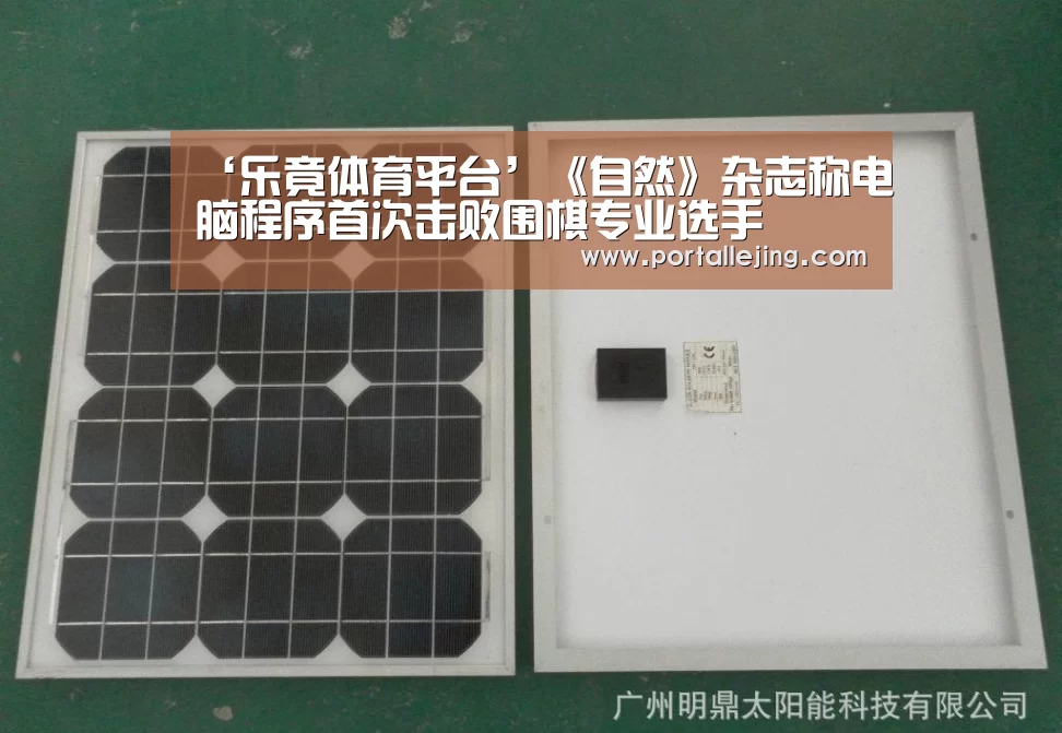 乐竟体育官网